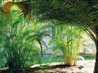 Protea By Marriott Mbweni Ruins Hotell 3*