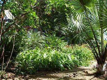 Hotell Protea By Marriott Mbweni Ruins